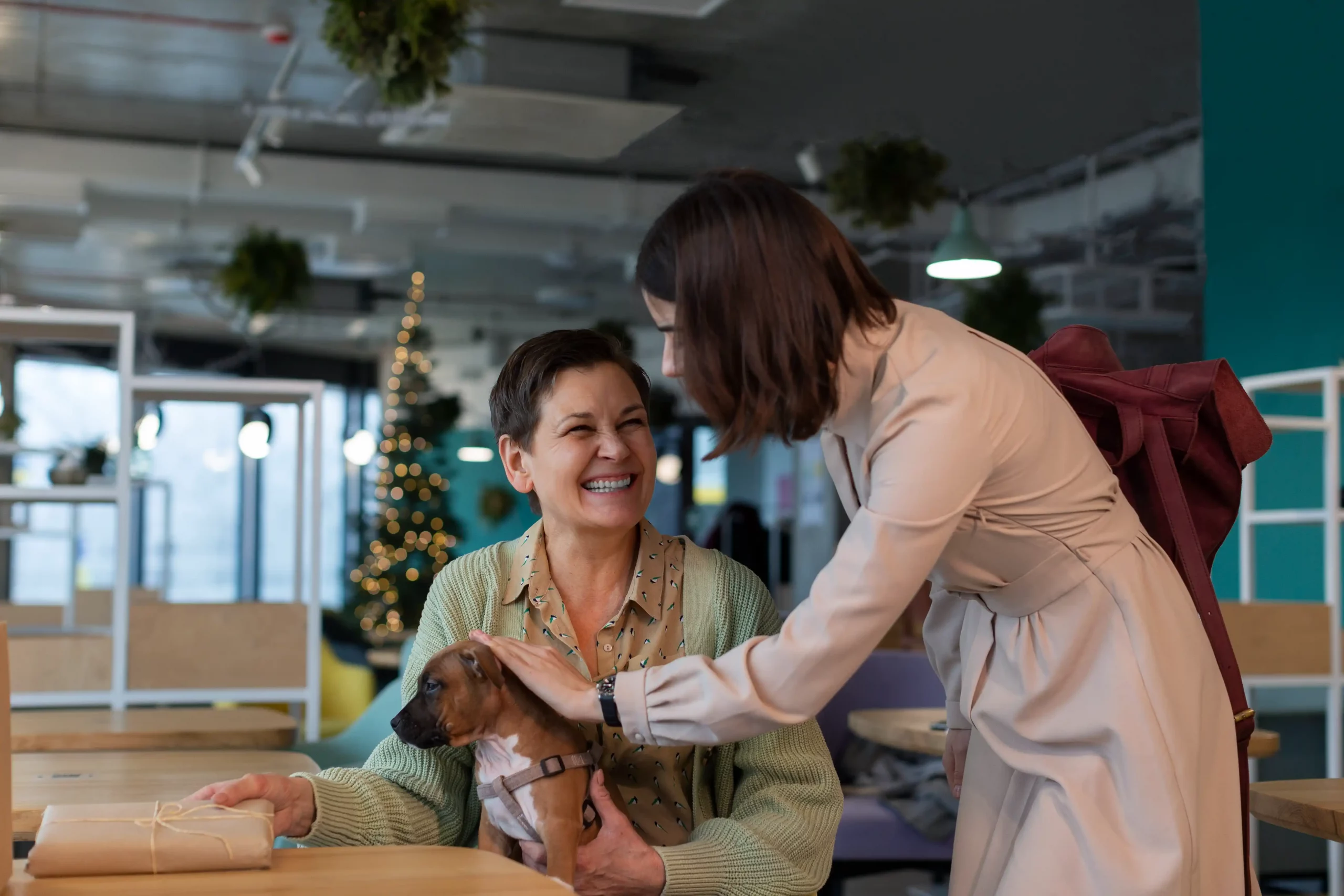 Two women share a joyful moment in an office decorated for the holidays. One holds a small dog, while the other, with a backpack, pets it. A Christmas tree is visible.